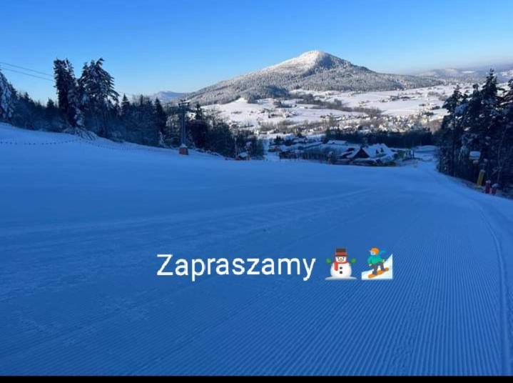Вілла Pod Roza Касіна В'єлка Екстер'єр фото